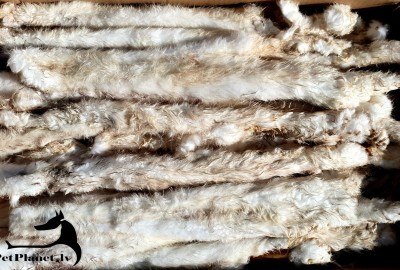 Rabbit skin with fur