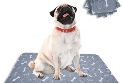 Washable absorbent disposable pads for dogs