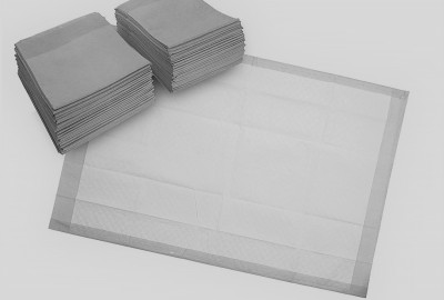 Absorbent disposable sheets for dogs