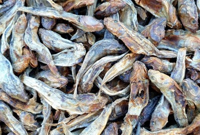 Dried fish see gudgeon