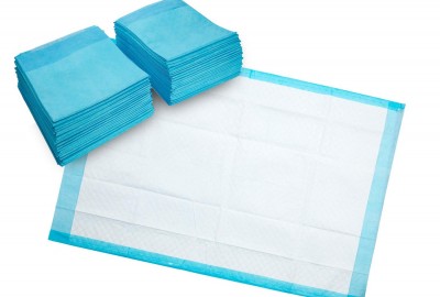 Absorbent disposable sheets for dogs 60 x 60 cm 10 pcs