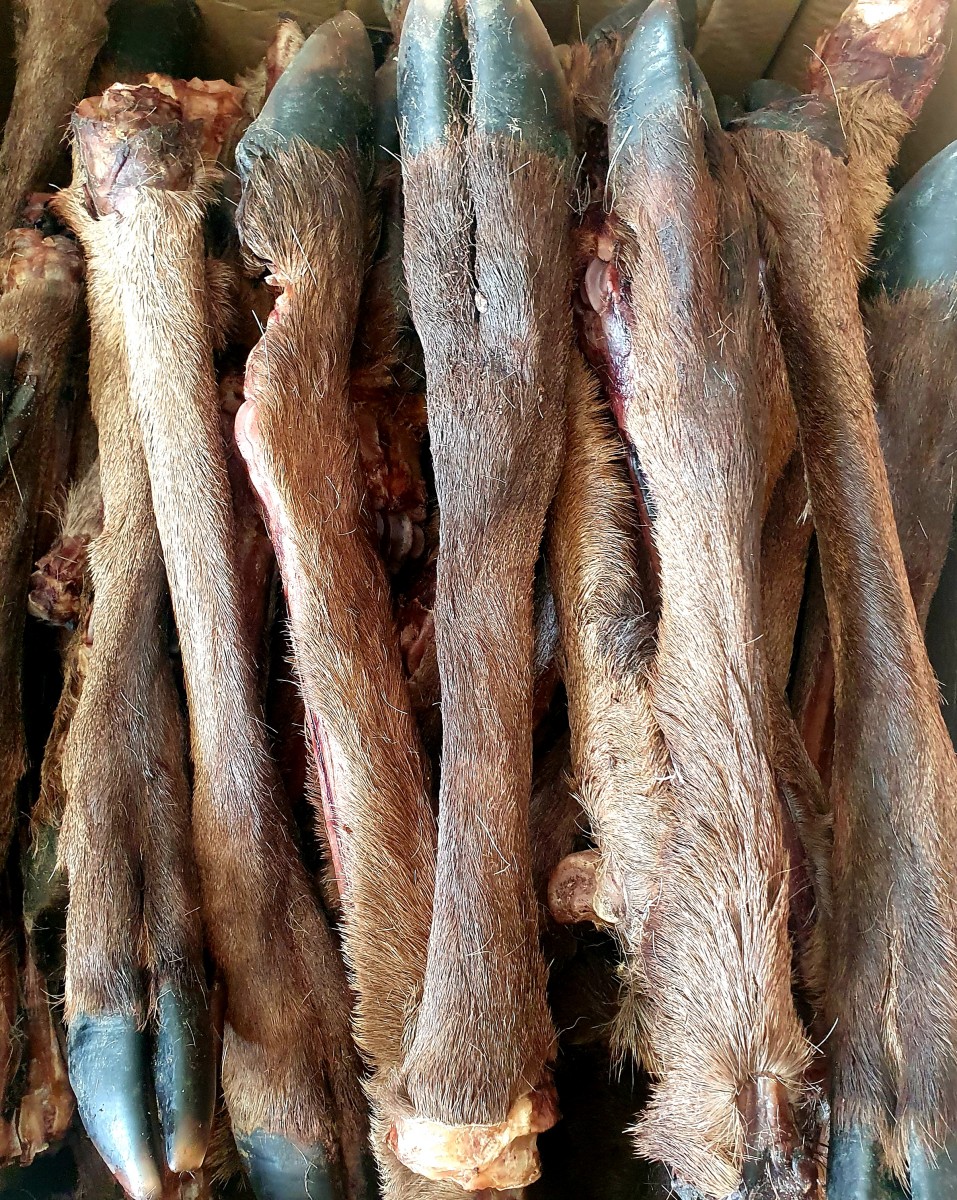 Deer leg with fur