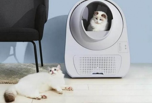 Intelligent CatLink Scooper Self-Cleaning Cat Litter Box (Young)