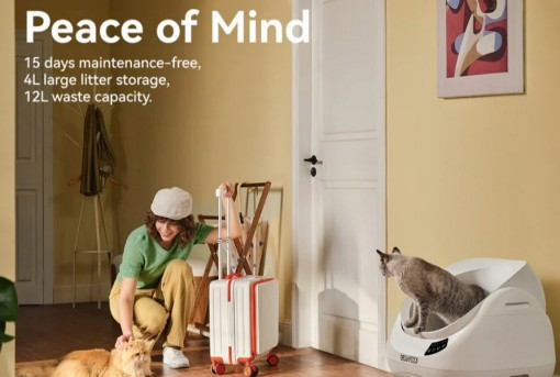 CAT LITTER BOX OPEN-X/WHITE CL-CH-01 WHT CATLINK