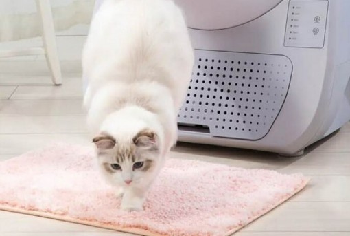 Intelligent CatLink Scooper Self-Cleaning Cat Litter Box (Young)