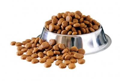 Dryfood for Dog